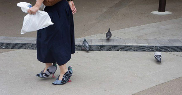 Una señora se hace unos zapatos con forma de paloma con un propósito