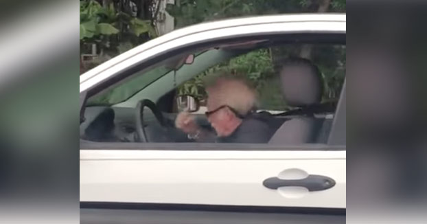 Abuelo dándolo todo en el coche al ritmo de Metallica