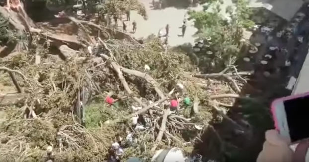 El mejor vídeo del Ficus de Murcia es el de la Lourdes: "¡Cállate, Lourdes!" "¡Cállate tú, pijo!"