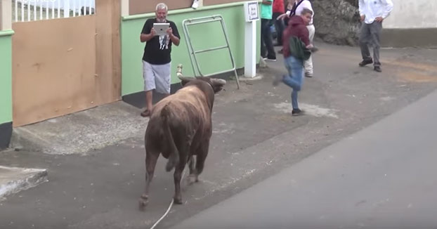 Grababa a un toro con su iPad sin preocuparse de nada hasta que el animal lo embistió brutalmente