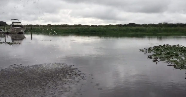 Nunca más volveré a bañarme en este río