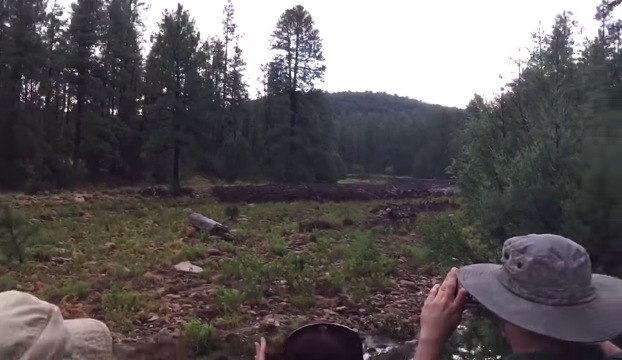 turistas parque arizona inundaciones bosque