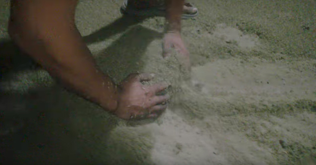 Parece un montón de arena, pero no... ¡son mosquitos!