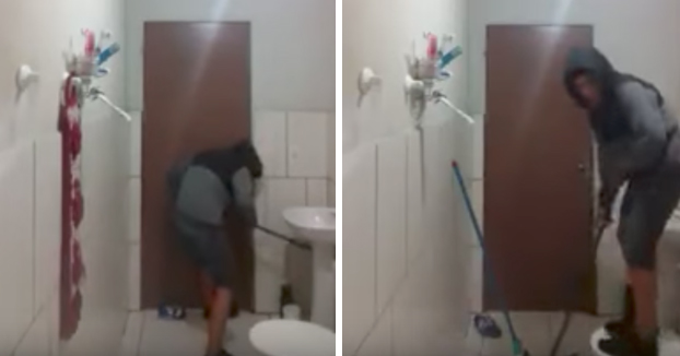 Se le cuela una rata en el baño mientras está con el gato dentro y es un drama sacarla