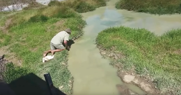 Aguas poco profundas con sorpresa