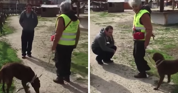 Esta perrita se reencuentra con su dueño 3 años después. Maravilloso cuando se da cuenta de que es él