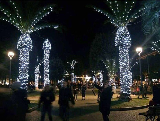 ¿Por qué no hay que decorar las palmeras con luces de Navidad? Por esto...