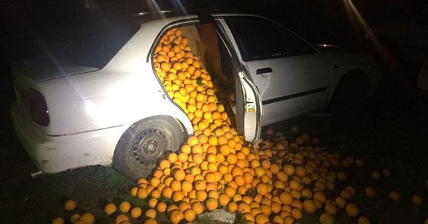 Detienen a cinco personas con 4.000 kilos de naranjas en un coche y alegan que son ''para consumo propio''