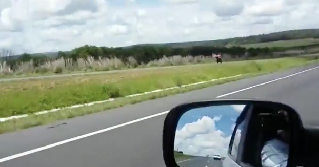 Motorista borracho circula en sentido contrario y choca de forma brutal contra un coche