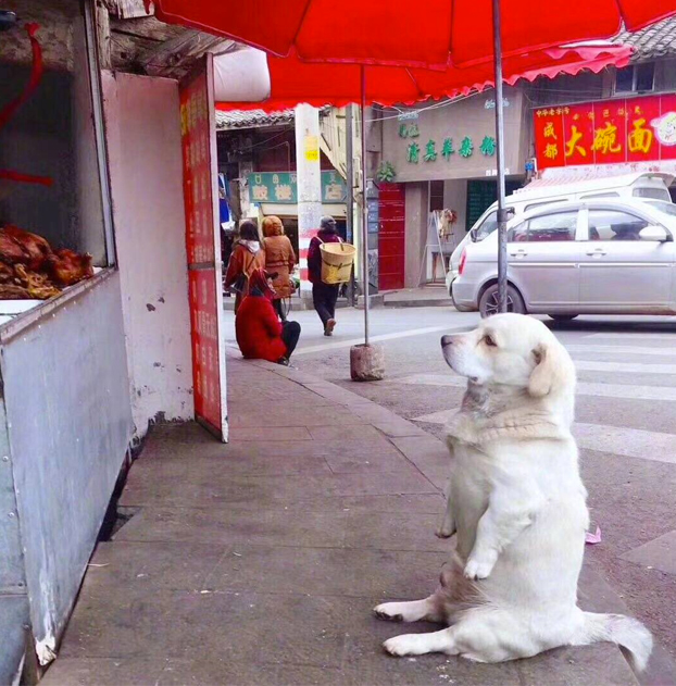 Aquí, esperando a por el pollo asado...