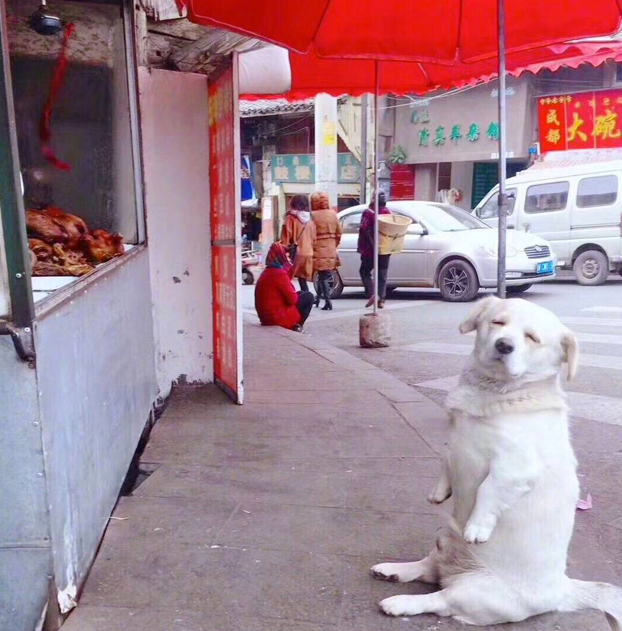 Aquí, esperando a por el pollo asado...