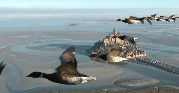 Maravilloso: Volando en ultraligero tocando las aves sobre el Monte Saint-Michel