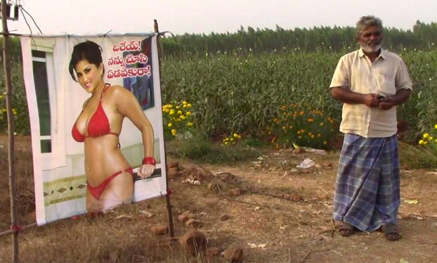 Un campesino protege su cosecha con la foto de una estrella porno