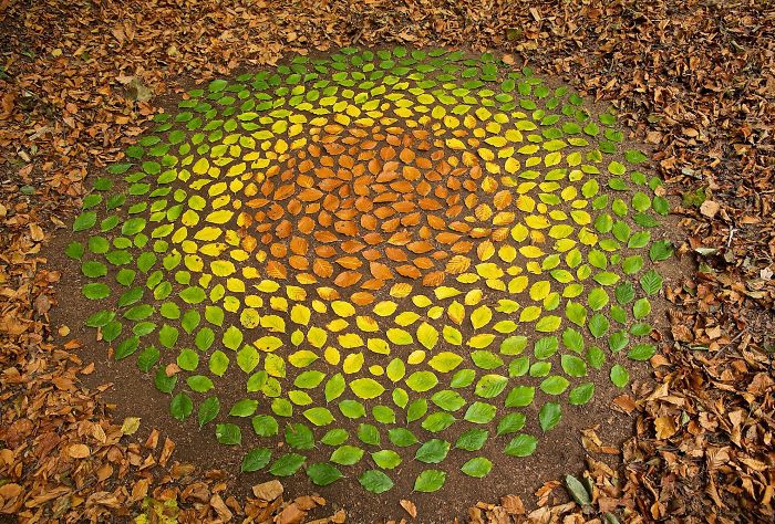 Este artista pasa horas colocando objetos naturales para crear increíbles mandalas y que la gente se los encuentre