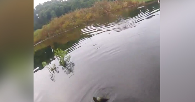 La pesca en Florida es un deporte de riesgo