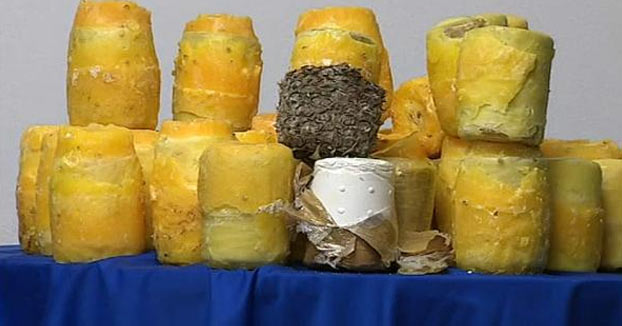 Adictos a la piña: 745 kilos de piñas rellenas de cocaína colombiana