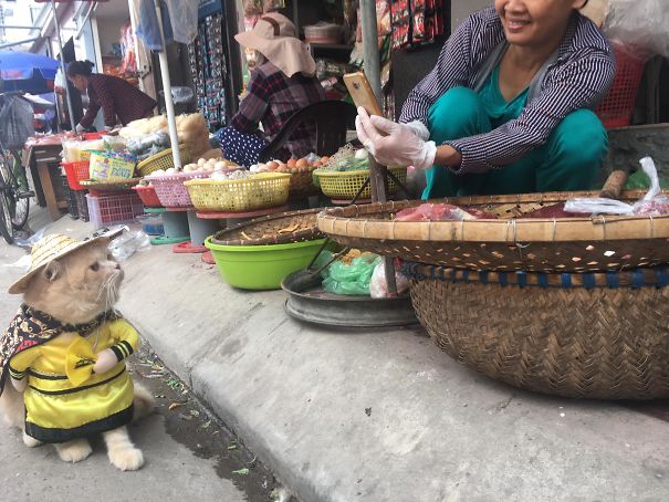 El pescadero más adorable de Vietnam