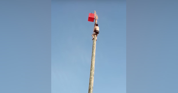 Subiendo a lo alto de un poste sin ningún tipo de protección. ¿Qué puede salir mal?