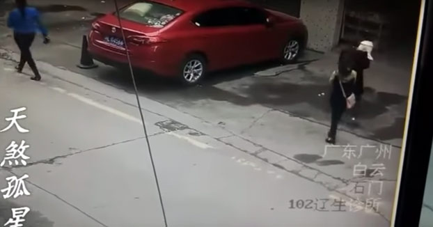 Un perro cae 'del cielo' y deja a una mujer inconsciente en plena calle