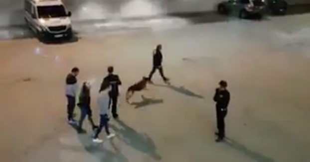 Una perra de la policía de Zaragoza especialista en detectar drogas corre hacia un joven que intentaba pasar desapercibido
