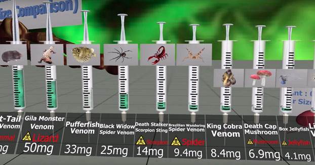 Comparación de toxicidad