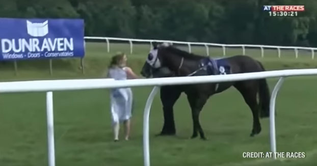 Una presentadora británica se interpone en el camino de un caballo al galope y lo detiene