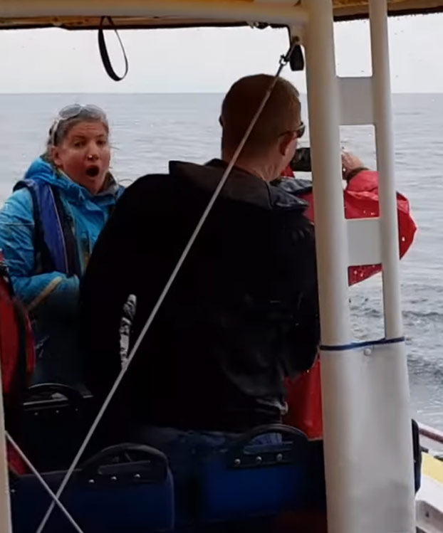 Estaban en una excursión de avistamiento de ballenas y lo que menos se imaginaban es que una saltase justo delante de ellos