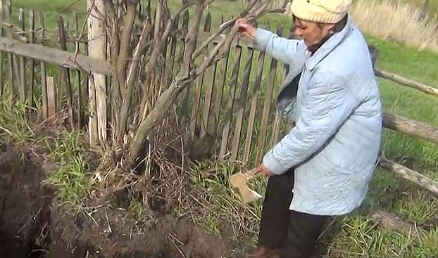 Encuentra en su jardín el cráneo del primer marido de su esposa