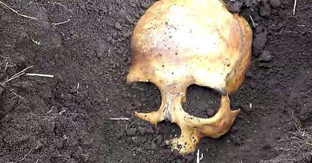 Encuentra en su jardín el cráneo del primer marido de su esposa