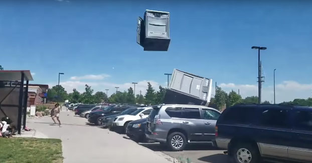 Cuando un día de picnic con la familia se transforma en un día de mierda