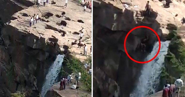 Momento en el que un joven cae por las cataratas Gokak al intentar mejorar el ángulo de su foto