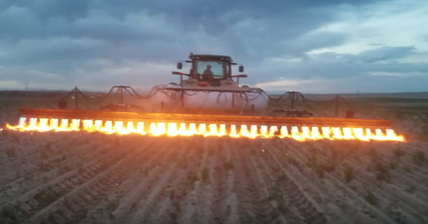 Deshaciéndose de las malas hierbas con un lanzallamas montado en un mecanismo de tractor