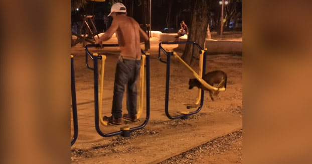 Mientras tanto, en un parque con máquinas para mayores...