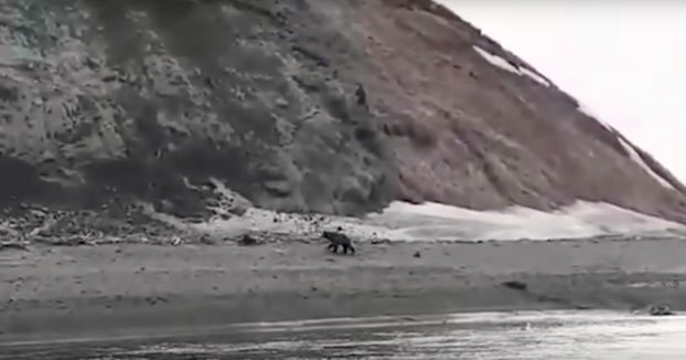Pescadores filman los últimos minutos de vida de su amigo, perseguido por un oso