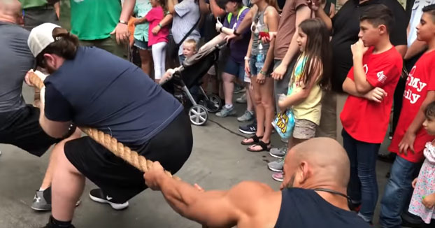 Duelo de fuerza: Tres luchadores de la WWE se enfrentan a una leona