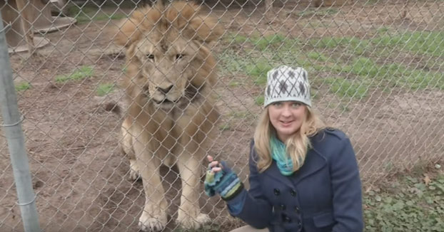 Me gustaría conocer a la persona que pensó que era buena idea hacerle una entrevista a un león