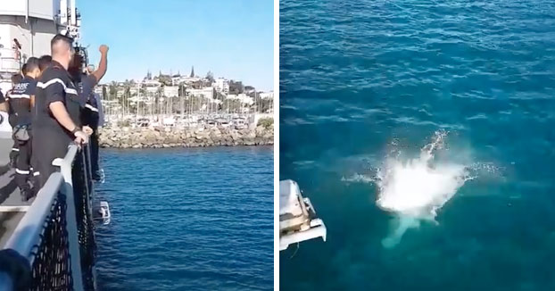 Estos marineros lanzan a un compañero al agua y segundos más tarde le dicen que salga rápido que un tiburón va hacia él