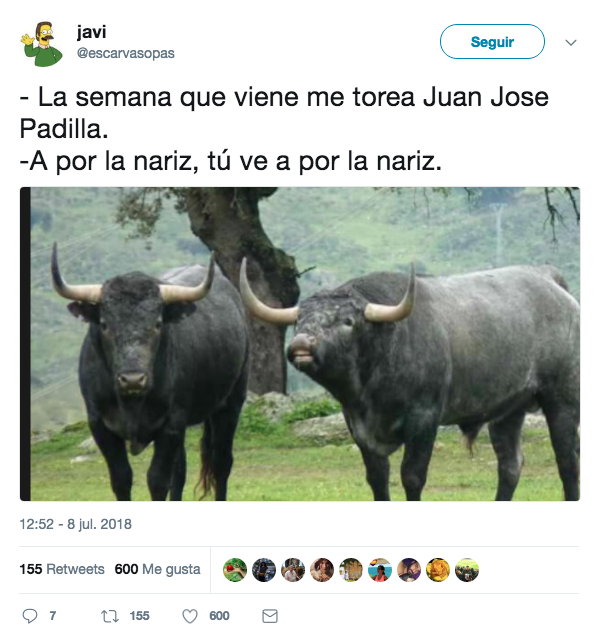 Los mejores memes y chistes sobre la cogida de Padilla en la que un toro le arrancó parte del cuero cabelludo