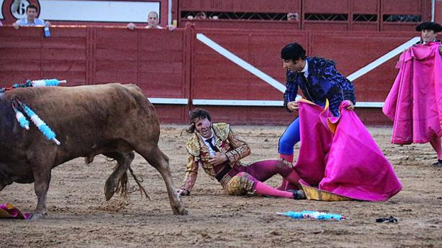 Un toro arranca parte del cuero cabelludo a Juan José Padilla durante su corrida en Arévalo [Vídeo]