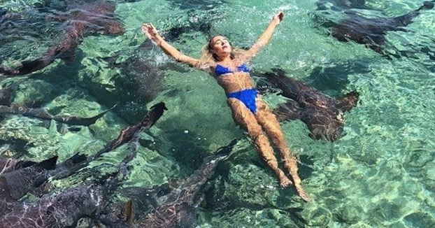 Un tiburón muerde a una instagramer cuando se hacía unas fotos en Bahamas