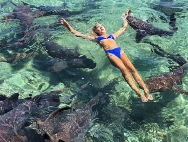 Un tiburón muerde a una instagramer cuando se hacía unas fotos en Bahamas
