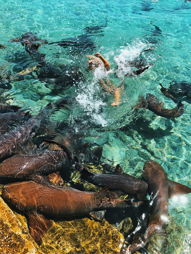 Un tiburón muerde a una instagramer cuando se hacía unas fotos en Bahamas