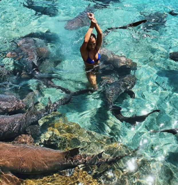 Un tiburón muerde a una instagramer cuando se hacía unas fotos en Bahamas