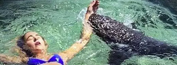 Un tiburón muerde a una instagramer cuando se hacía unas fotos en Bahamas