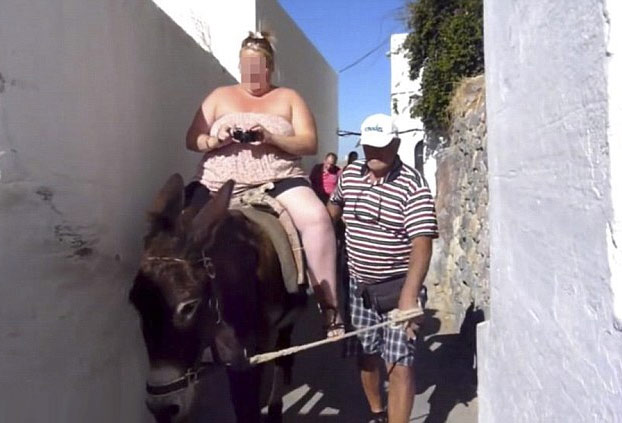 Los lugareños de Santorini están utilizando mulas en lugar de burros ya que el número de turistas con sobrepeso se ha triplicado