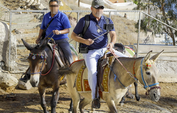 Los lugareños de Santorini están utilizando mulas en lugar de burros ya que el número de turistas con sobrepeso se ha triplicado