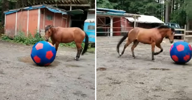 Felicidad absoluta con su nueva enorme pelota de fútbol