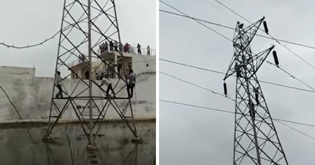 Un mono se lanza desde lo alto de una torre de alta tensión tras permanecer atascado tres días