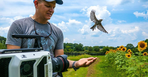 Un pájaro alzando el vuelo a 20.000 fps