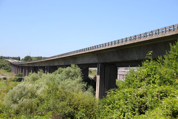 Fotos del estado de los pilares del viaducto de Somonte en la Y asturiana